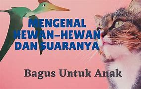 Suara Binatang Dan Gambarnya